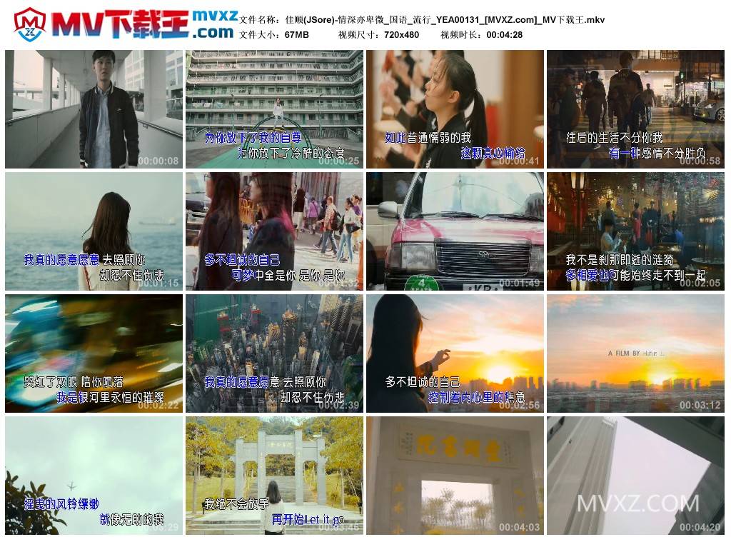 佳顺(JSore)-情深亦卑微_国语_流行_YEA00131